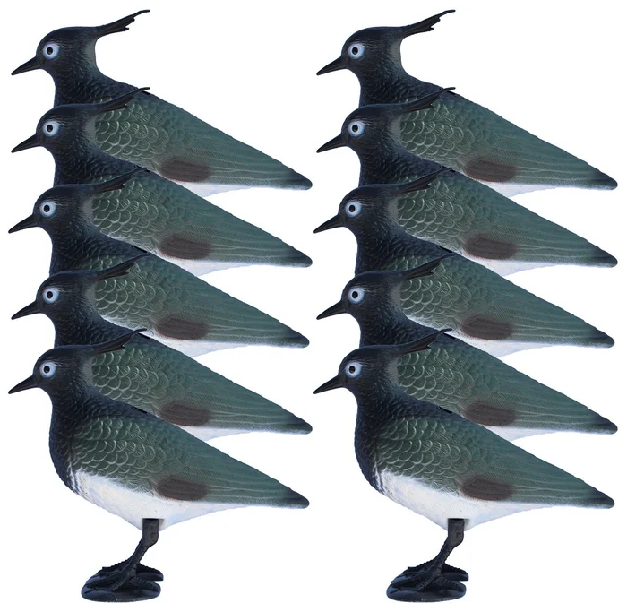 Pack 10 appelants vanneau huppé à pattes
