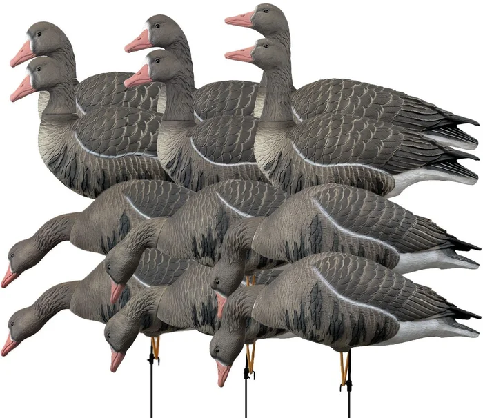 Pack 12 oies rieuses à pattes full HD XTREM MIGRATEURS