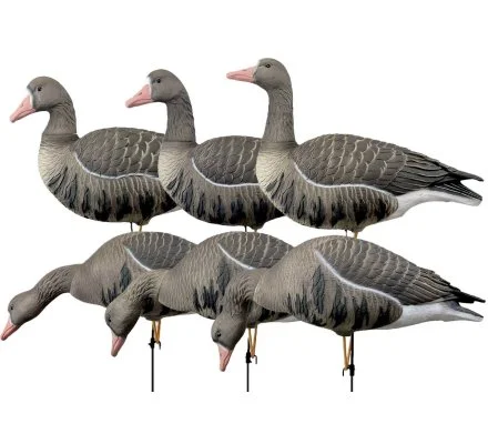 Pack 6 oies rieuses à pattes full HD avec sac de transport XTREM MIGRATEURS – Image 2