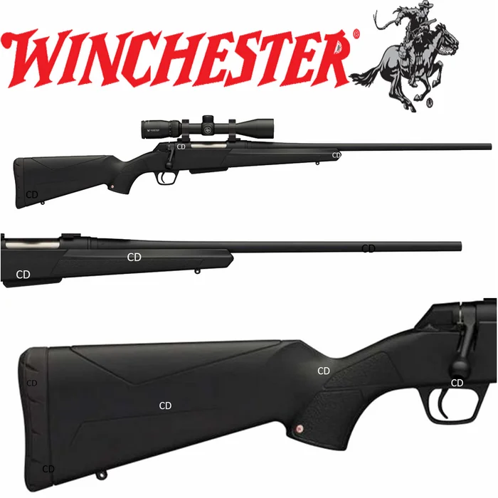 Pack Carabine Winchester XPR Threated Filetée Combo 243 Win