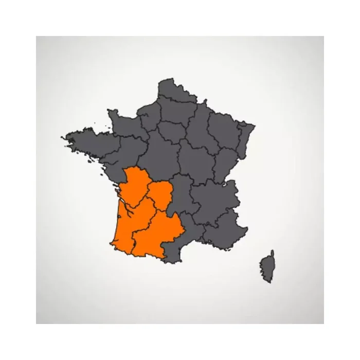 Pack cartes Sud-Ouest Sportdog TEK 2.0