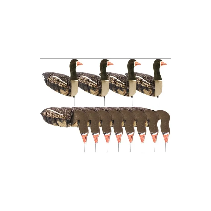 Pack de 12 formes Sillosocks Oie Cendrée