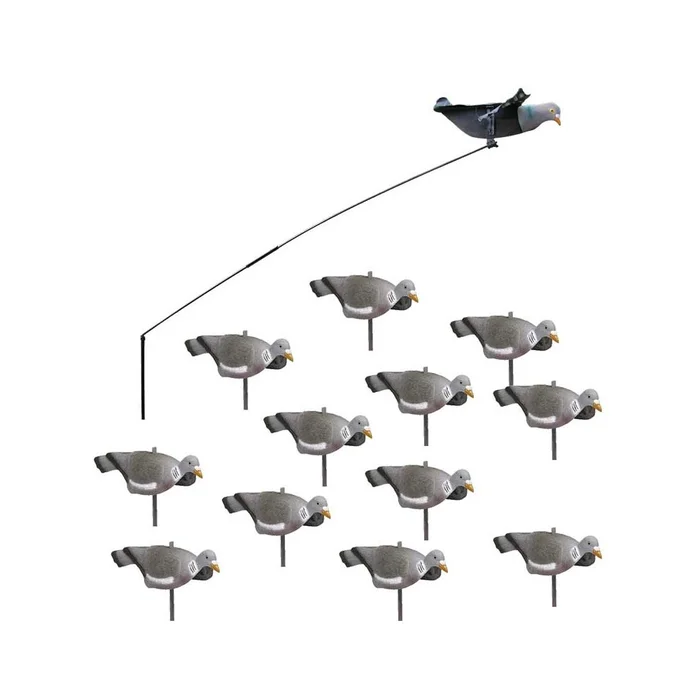 Pack débutant du chasseur de pigeons