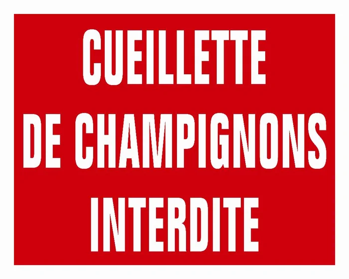PANNEAU AKILUX CUEILL.CHAMPIGNONS