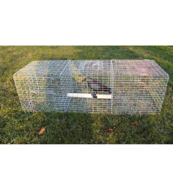 Piège à oiseaux, 3 compartiments – BOXTRAP