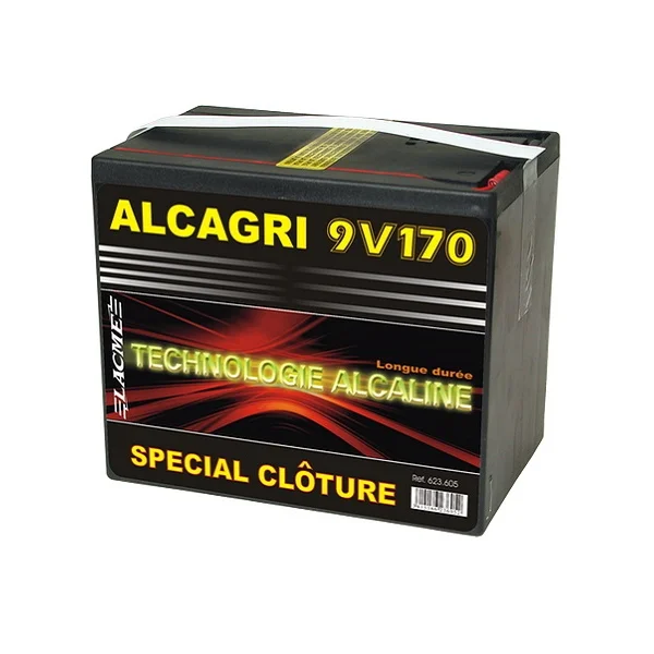Pile Alcaline 9V 170 Ah
