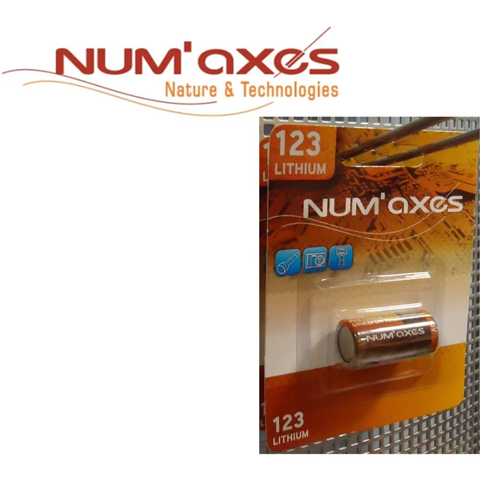 PILE NUM AXES CR123