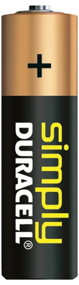 Piles alcalines AA LR6 1,5 volt – Duracell
