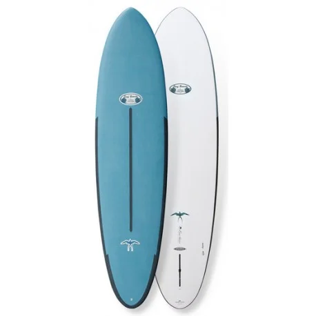 Planches Surf HybridesSURFTECH Takayama The Egg – 7’6