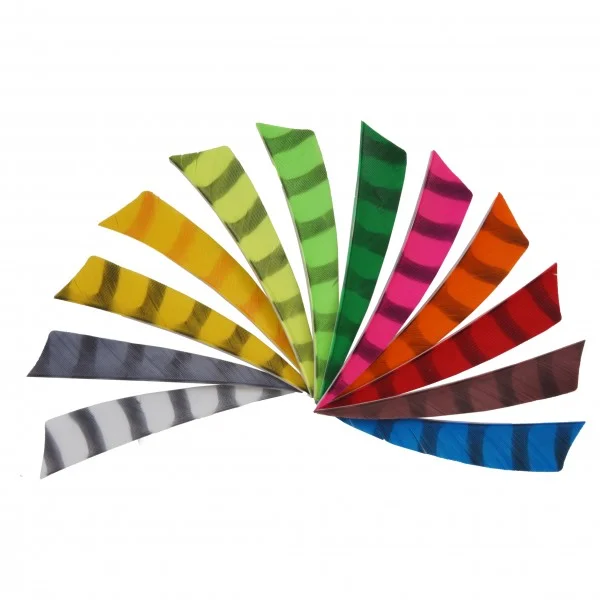 PLUME NATURELLE SHIELD TIGREE 5&Prime;