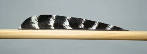 PLUME TRADITION NATURELLE « PARABOL 4 »