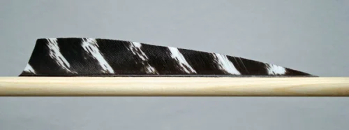 PLUME TRADITION NATURELLE « SHIELD 4 »