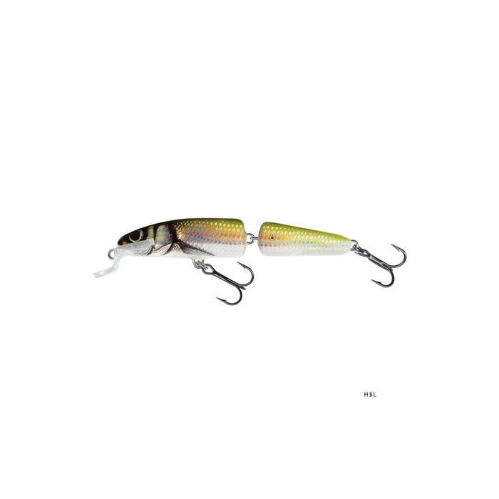 Poisson Nageur Salmo Fanatic 7cm Floating