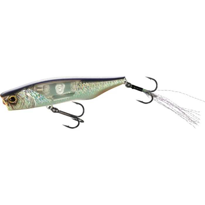 Poisson Nageur Shimano Bantam Ligen 66F FB