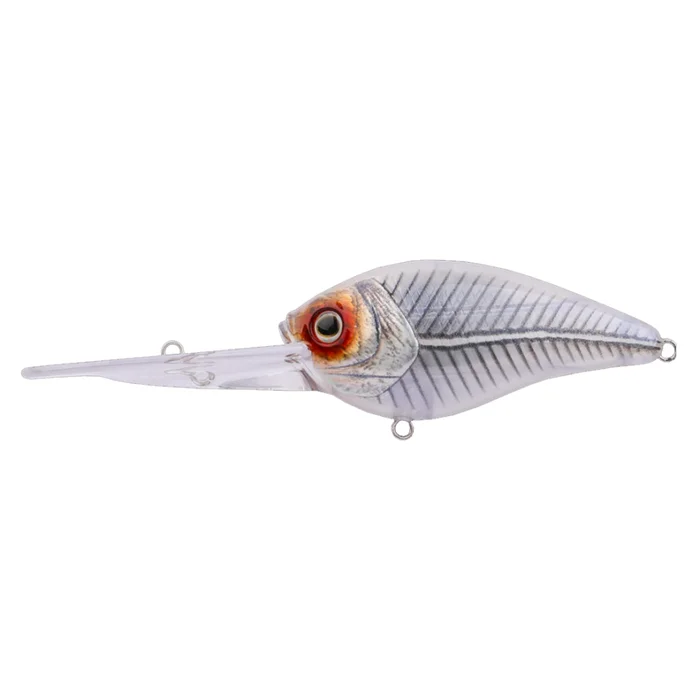 Poisson Nageur Zerek Giant Ruby Plus 7,5cm
