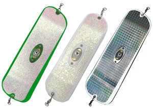 Pro-Troll ProFlash Lighted ProChip Fin Flashers avec EChip – 28 cm