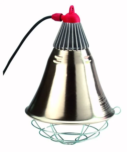 Protection pour ampoule infrarouge