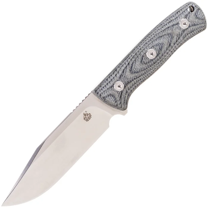 QS134-B – QSP Bison