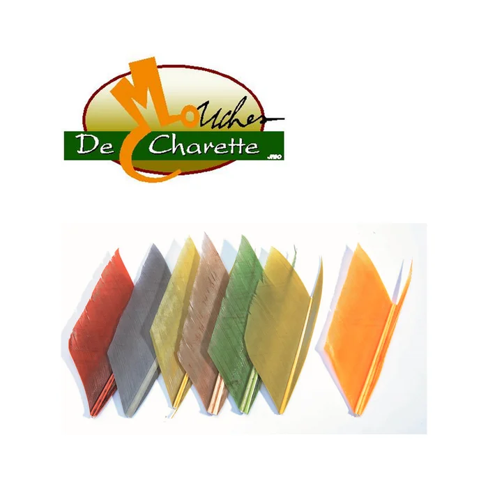 QUILL D’AILE DE DINDE JMC DE CHARETTE