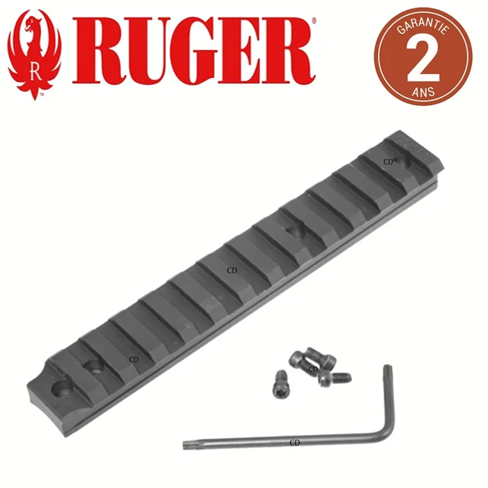 Rail 30 Moa Pour Carabine Ruger Précision Rimfire