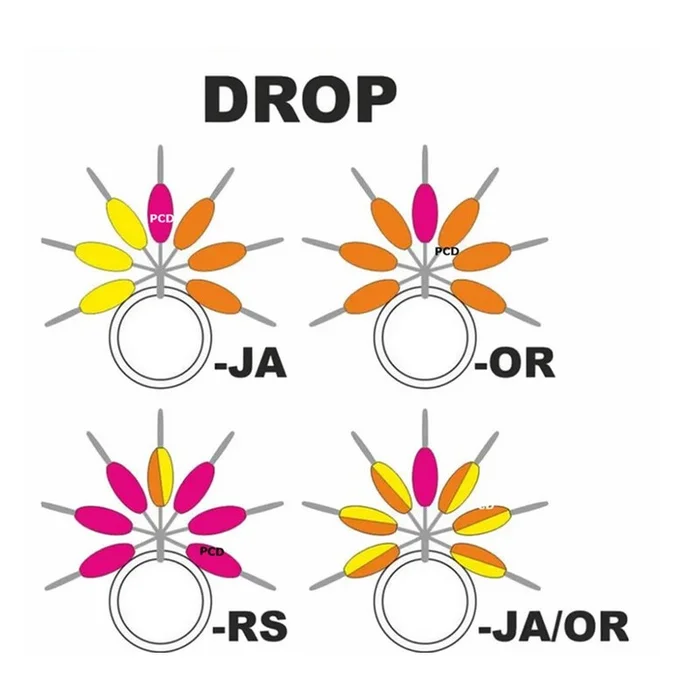 Repères de Ligne Streamline Drop Garbolino N°2 Par 7