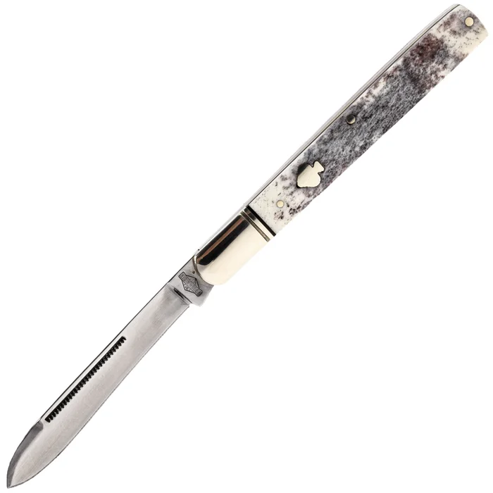 RR2484 – Rough Ryder Appaloosa Doctor