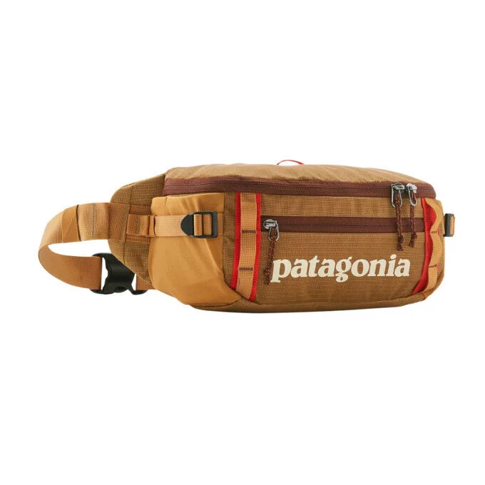 Sac banane Patagonia Black Hole 5L – Talon Gold