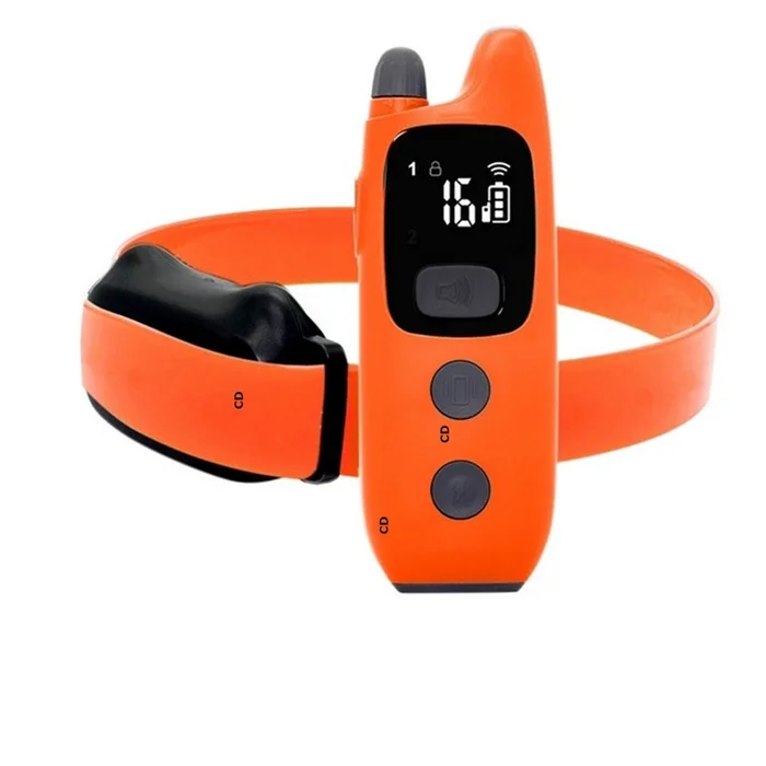 Set De Dressage Chien Pro Hunt 600M Orange