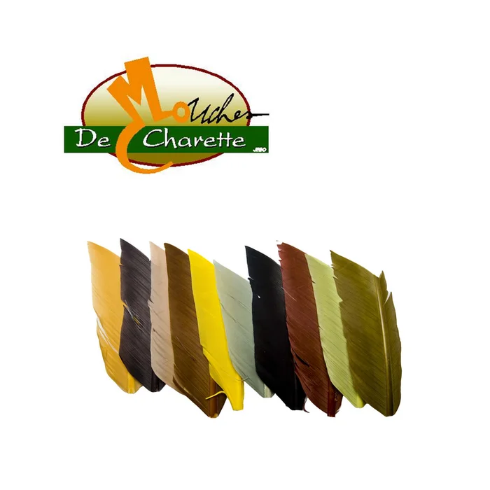 SUBSTITUT DE CONDOR JMC DE CHARETTE