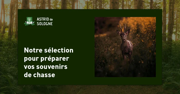 Support avec scie pour trophée de cerf