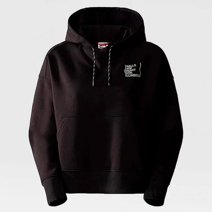 SWEAT FEMME THE NORTH FACE W OUTDOOR GRAPHIC HOODIE
