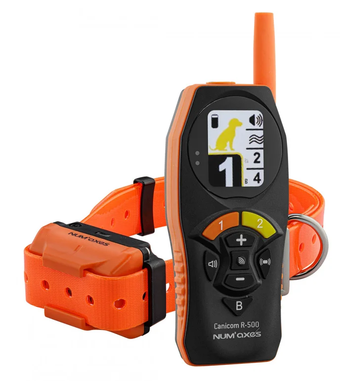 Télécommande et colliers de dressage Canicom R-500