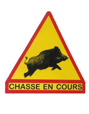 Triangle » Sanglier chasse en cours »
