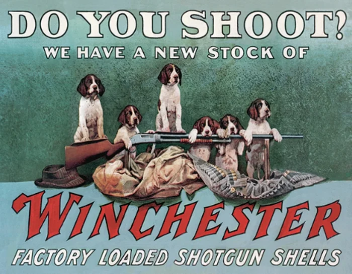 TSN2442 – Affiche Metallique Do You Shoot?
